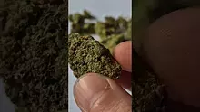 ScottiDunCanna Video Thumbnail