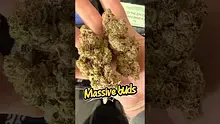 Onemans 420 Video Thumbnail