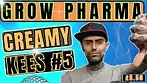 Grow Pharma Creamy Kees | UK Medical Cannabis 