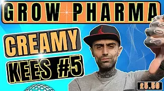 Grow Pharma Creamy Kees | UK Medical Cannabis 