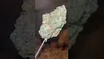 Aurora ~ Pink Diesel T27 Info in description 