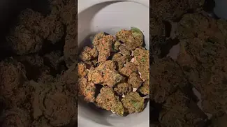 GMO Cookies - This video is intended for educational purposes only!