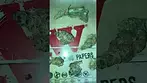 MEDICUS | APPLE FRITTER | UK MEDICAL CANNABIS PATIENT FLOWER VIDEO 2025