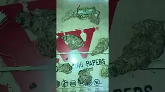 MEDICUS | APPLE FRITTER | UK MEDICAL CANNABIS PATIENT FLOWER VIDEO 2025
