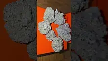Vinnie's Lounge Video Thumbnail
