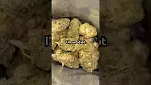 High Jack Video Thumbnail