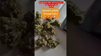 AAAA/Lot420 - Orange Cake (T27%)(UK Medical Cannabis Prescription)