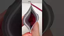Becky's Buds Video Thumbnail