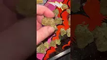 St0nerLukas Video Thumbnail
