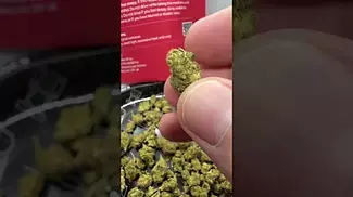 4C Labs | Strawberry Cake (Smalls) | First Look