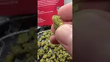 Smokie McGreen Video Thumbnail