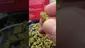 Video Thumbnail: Smokie McGreen