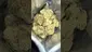 Video Thumbnail: High Jack