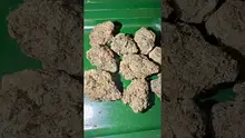 Bajan Video Thumbnail