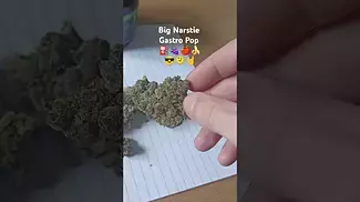 Big Narstie Medical - Gastro Pop(T28) (UK Medical Cannabis Prescription)