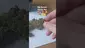 Video Thumbnail: ScottiDunCanna