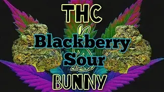 Blackberry Sour 19%THC by GLASS PHARMS... medical prescription cannabis.