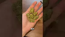 26wrld Video Thumbnail