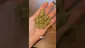 Video Thumbnail: 26wrld