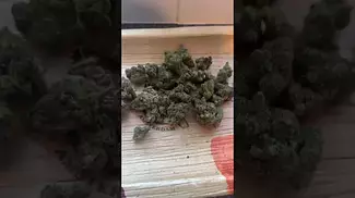 Uklegal #Aurora FarmGas 27%thc 1%cbd #medicated #mentalhealth #itsokaytotalk #uk #ukmedicine #review