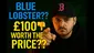 Video Thumbnail:  Treezcribed
