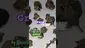 Video Thumbnail: UKTHC