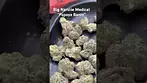 First look at the Big Narstie Medical “Papaya Bantz”  (Papaya x Banana x Runtz)