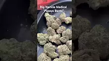 Cannabaz Video Thumbnail