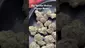 Video Thumbnail: Cannabaz