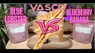 Vasco Showdown | Blue Lobster vs Blueberry Banana