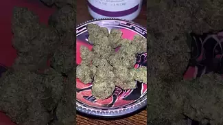 Aurora Pedanios ~ Electric Honeydew (26%)