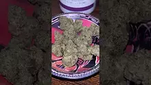 Smokey Mo Video Thumbnail