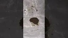 High Jack Video Thumbnail