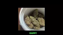 MedCannaBliss Video Thumbnail
