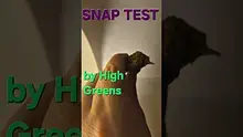 Gezmo 78 Video Thumbnail