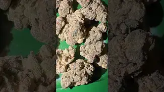 AAAA Apples & Bananas  #uk #medical #patient #youtubeshorts #flowers