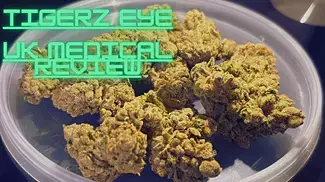 Herdade das Barrocas T22 - Tigerz Eye - UK Medical Cannabis Review 