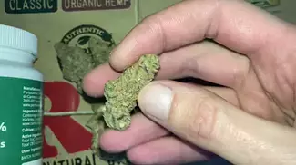 JET PILOT | UK MEDICAL CANNABIS PATIENT FLOWER VIDEO 2025