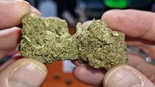 Smacksalad Video Thumbnail