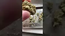 LoudConnoisseur Video Thumbnail