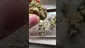 Video Thumbnail: LoudConnoisseur