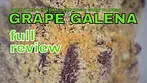 GRAPE GALENA | Green Joy, Blossom Genetics & Grow Pharma | FULL REVIEW