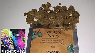 Lemon Sour Diesel Strain Review By MCCN No.5 Encanto