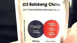 ECS BAFOKENG CHOICE by MG Health Medical Cannabis UK THC 24