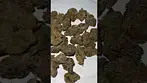 CEREAL MILK COOKIES #cannabiscommunity #alternaleaf #medicalcannabis #cannabisdaily #ukmedicalcanna