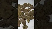 Adz Canna Video Thumbnail