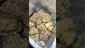 Video Thumbnail: High Jack