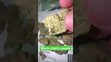 Concanna Video Thumbnail