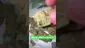 Video Thumbnail: Concanna