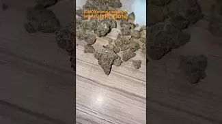 #UKmedical#GMO animal cookies #4CLABS# #THC30%